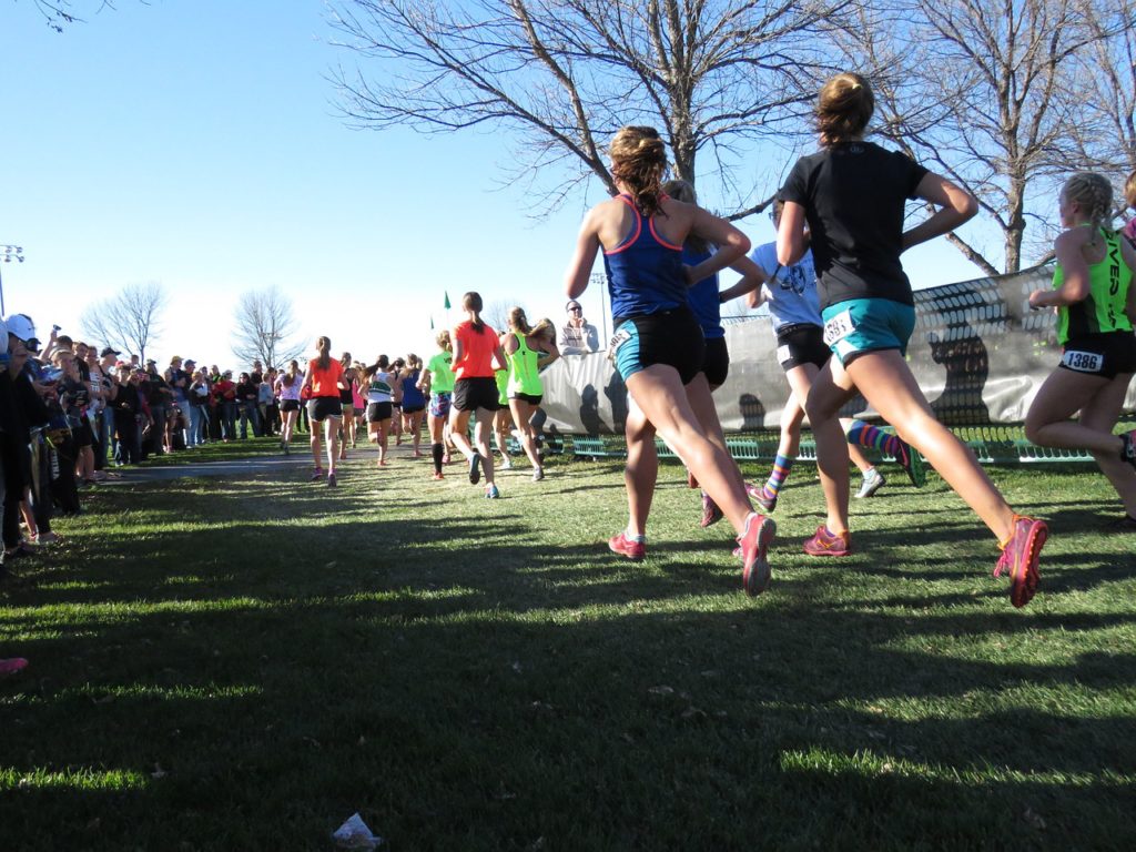 Cross country runners back view