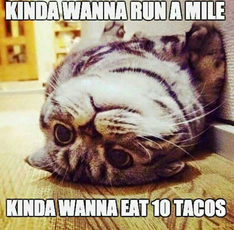 Love and Support a Runner: "Kinda Wanna Run a Mile. Kinda Wanna Eat 10 Tacos"